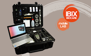 <strong>IBIX BIOCARE</strong> <br/>  Kwaliteit, professionaliteit en ervaring<br/>  in de restauratie van het culturele erfgoed.